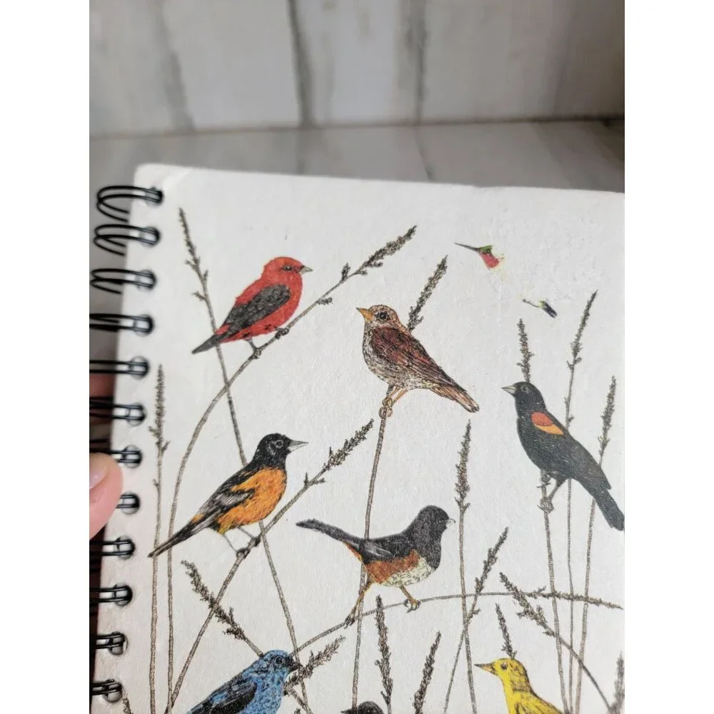 Variety bird blue jay sketch book‎ hummingbird cardinal unique